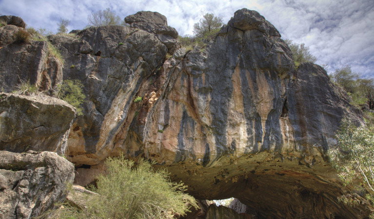 Borenore NSW Tourism Gold Coast