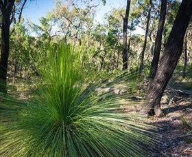 Brisbane Ranges National Park - Tourism Gold Coast 0