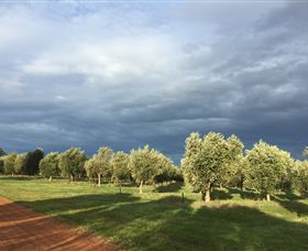 Camilo - Gold Coast 0