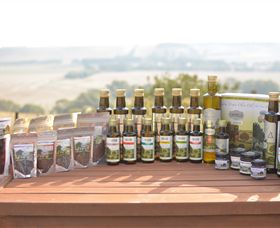 Camilo - Gold Coast 1