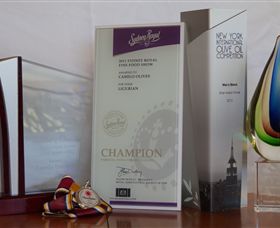 Camilo - Gold Coast 7