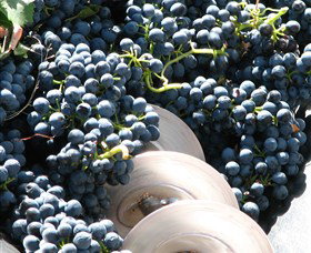 Orange Mountain Wines - Tourism Gold Coast 2