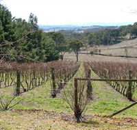 Habitat Vineyard - Gold Coast
