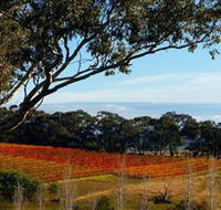 Bloodwood Estate - Gold Coast