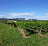 Hedberg Hill Wines - Tourism Gold Coast
