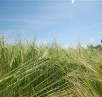 150 Degrees East Meridian - Tourism Gold Coast