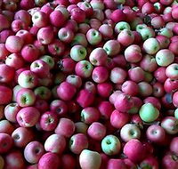 Hillside Orchard - Tourism Gold Coast