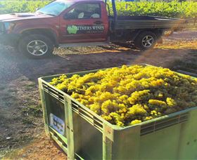 Mortimers Of Orange - Tourism Gold Coast 2