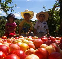 Bonny Glen Fruits - Tourism Gold Coast