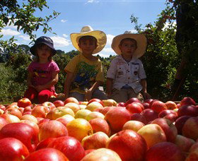 Bonny Glen Fruits - Tourism Gold Coast 0