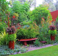 Out of Town Nursery and Humming Garden - Tourism Gold Coast