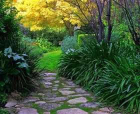 Out Of Town Nursery And Humming Garden - Tourism Gold Coast 2