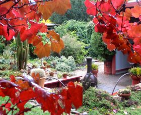 Out Of Town Nursery And Humming Garden - Tourism Gold Coast 1