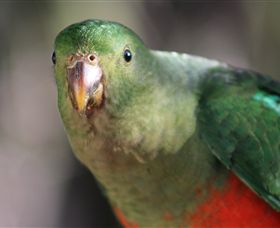 Out Of Town Nursery And Humming Garden - Tourism Gold Coast 3