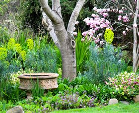 Out Of Town Nursery And Humming Garden - Tourism Gold Coast 4