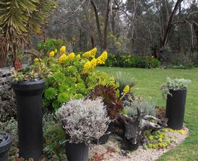 Out Of Town Nursery And Humming Garden - Tourism Gold Coast 5