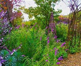 Out Of Town Nursery And Humming Garden - Tourism Gold Coast 7