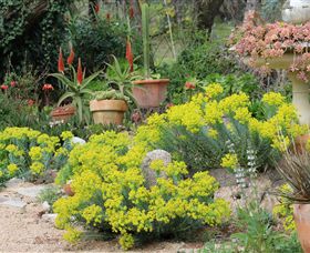 Out Of Town Nursery And Humming Garden - Tourism Gold Coast 8