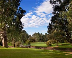 Commercial Golf Course - Tourism Gold Coast 0