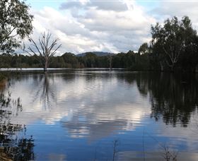 Wonga Wetlands - Tourism Gold Coast 1