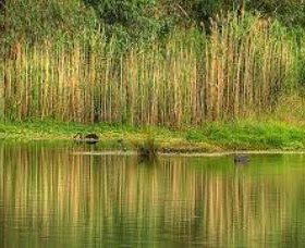 Wonga Wetlands - Tourism Gold Coast 2