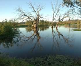 Wonga Wetlands - Tourism Gold Coast 4