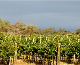 Amulet Vineyard And Beechworth Cider - Tourism Gold Coast 7