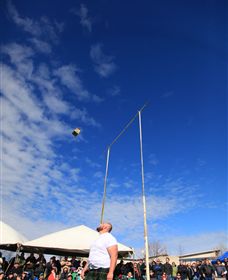 Amulet Vineyard And Beechworth Cider - Tourism Gold Coast 6