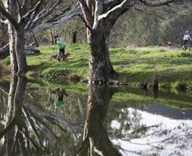 Albury - Murray River Precinct - Tourism Gold Coast 3