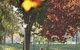 Albury - Murray River Precinct - thumb 6