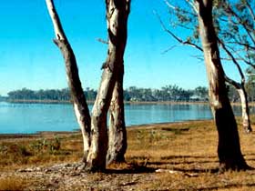 Lake Broadwater Conservation Park - Tourism Gold Coast 0