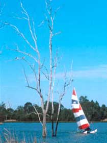 Lake Broadwater Conservation Park - Tourism Gold Coast 2