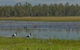 Lake Broadwater Conservation Park - thumb 1