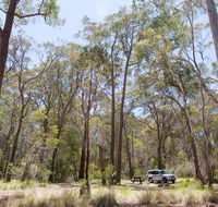 Coolah Tops National Park - Tourism Gold Coast