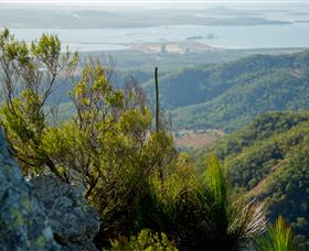 Mount Larcom Climb - Tourism Gold Coast 1