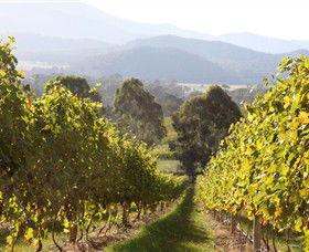 Pizzini Wines King Valley - Gold Coast 3