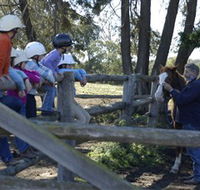 Harlow Park Horse Riding - Gold Coast