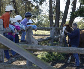 Harlow Park Horse Riding - Gold Coast 0
