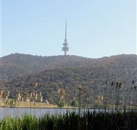 Black Mountain Peninsula - Tourism Gold Coast