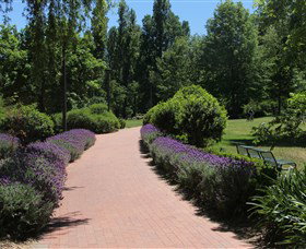 Glebe Park - Tourism Gold Coast 1