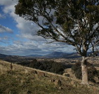 Urambi Hills - Tourism Gold Coast
