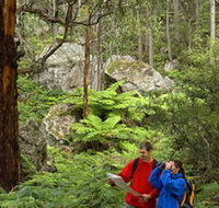 Centennial Glen - Tourism Gold Coast