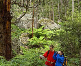Centennial Glen - Tourism Gold Coast 0