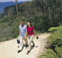 Blue Mountains Walking Tracks - Tourism Gold Coast