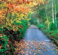 Mount Wilson and Mount Irvine - Tourism Gold Coast