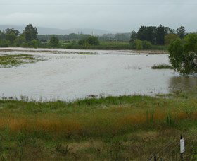 Jerrabomberra Wetlands - Tourism Gold Coast 1