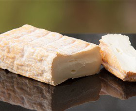 Prom Country Cheese - Tourism Gold Coast 7