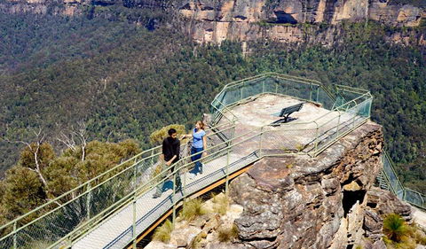 Pulpit Rock Lookout - Tourism Gold Coast 2