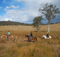 Chapman Valley Horse Riding - Tourism Gold Coast