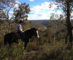 Chapman Valley Horse Riding - Tourism Gold Coast 2
